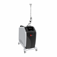 Vertical professional pico laser for tattoo removal birth mark removal skin rejuvenation device